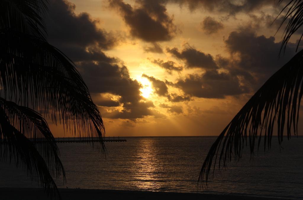 Skyline Suite Playa del Carmen Pokój zdjęcie